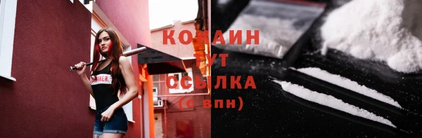 тгк Абинск