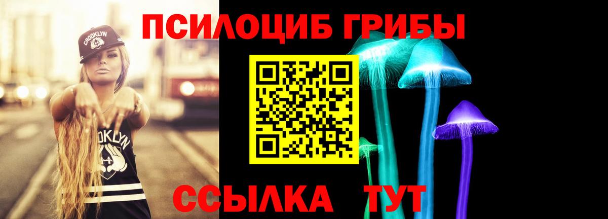 Псилоцибиновые грибы Psilocybine cubensis  Вход с VPN  Минусинск 