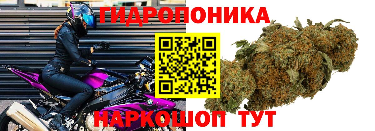 Бошки Шишки план Минусинск